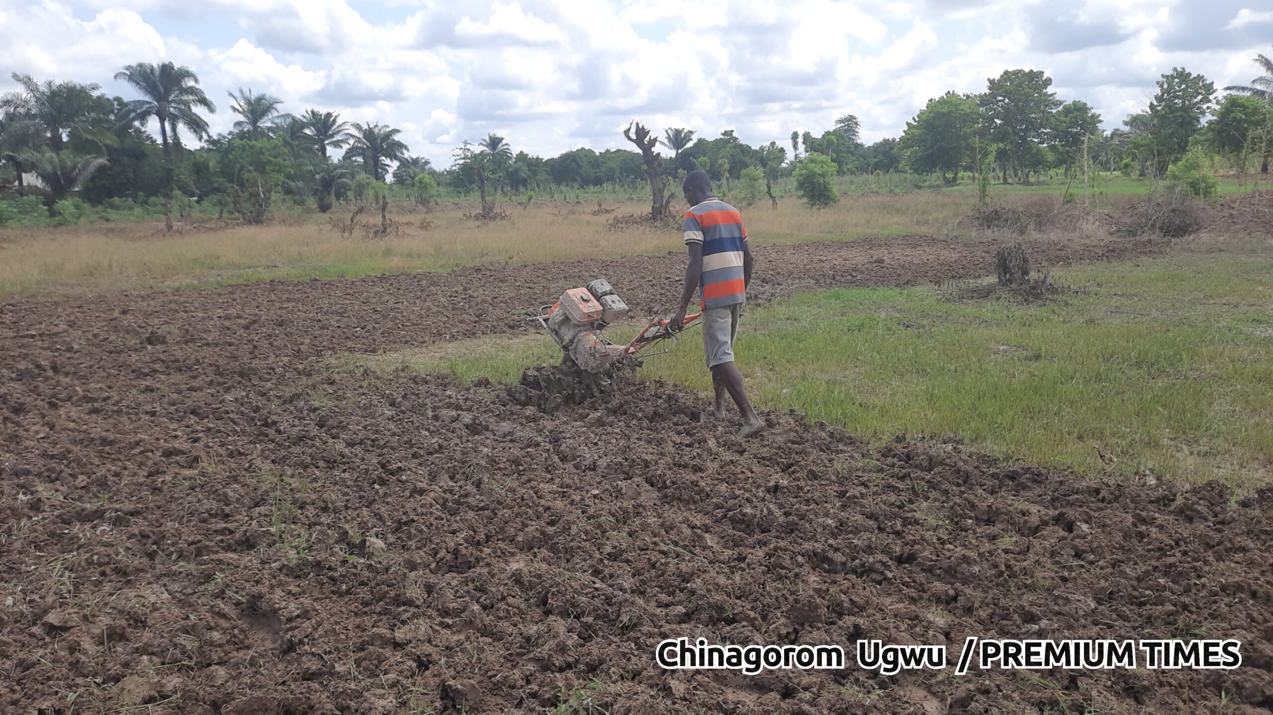 A labourer using tiller on a rice farmland in Ebonyi
