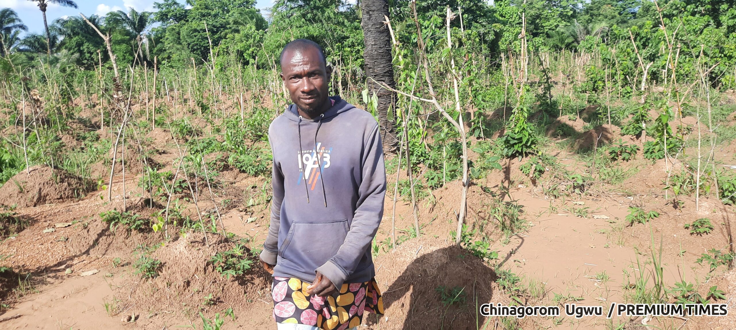 Friday Nguru in his yam farmland in Ebonyi