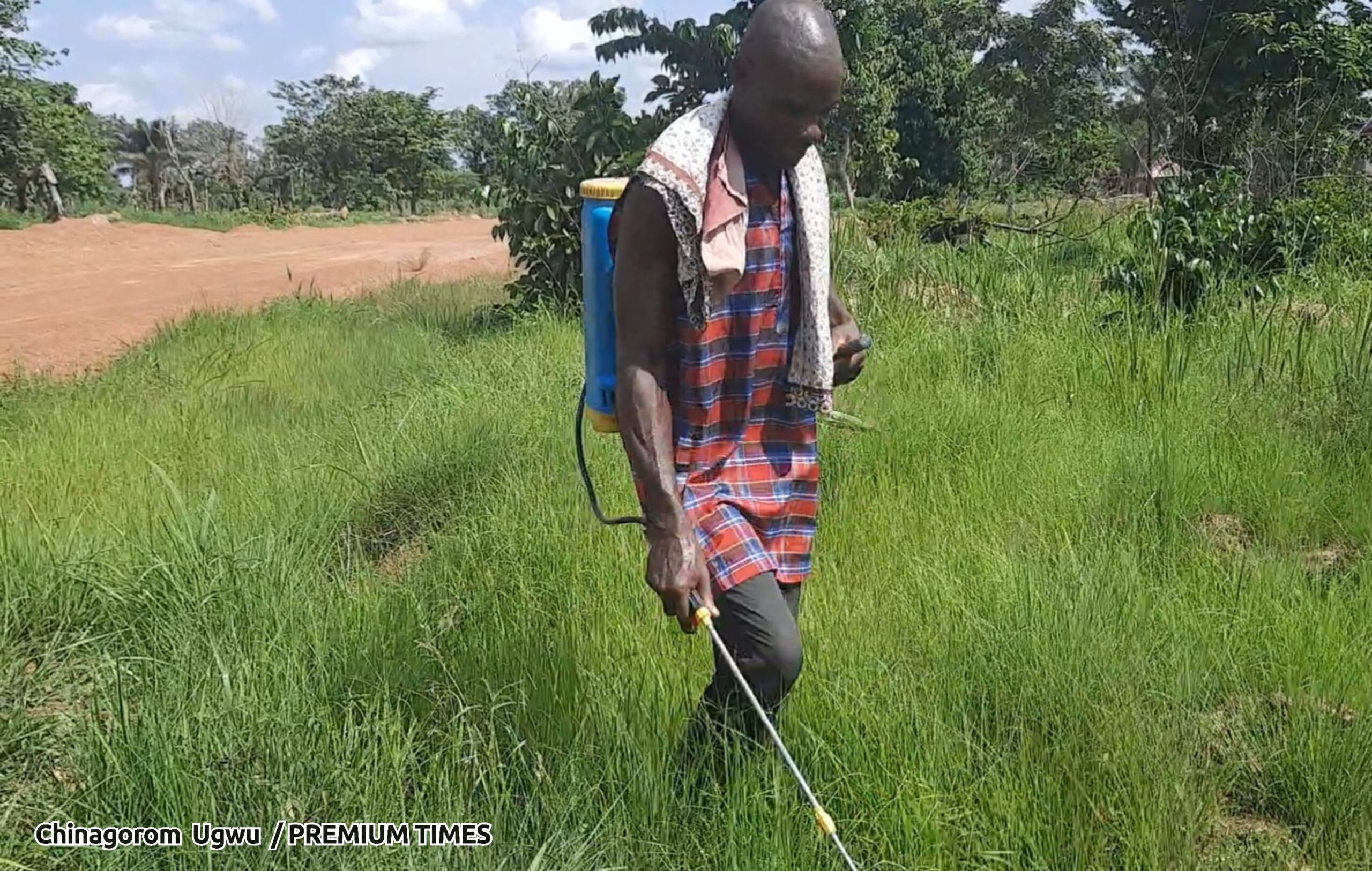 Monday Nweze spraying herbicide in his proposed farmland in Ebonyi