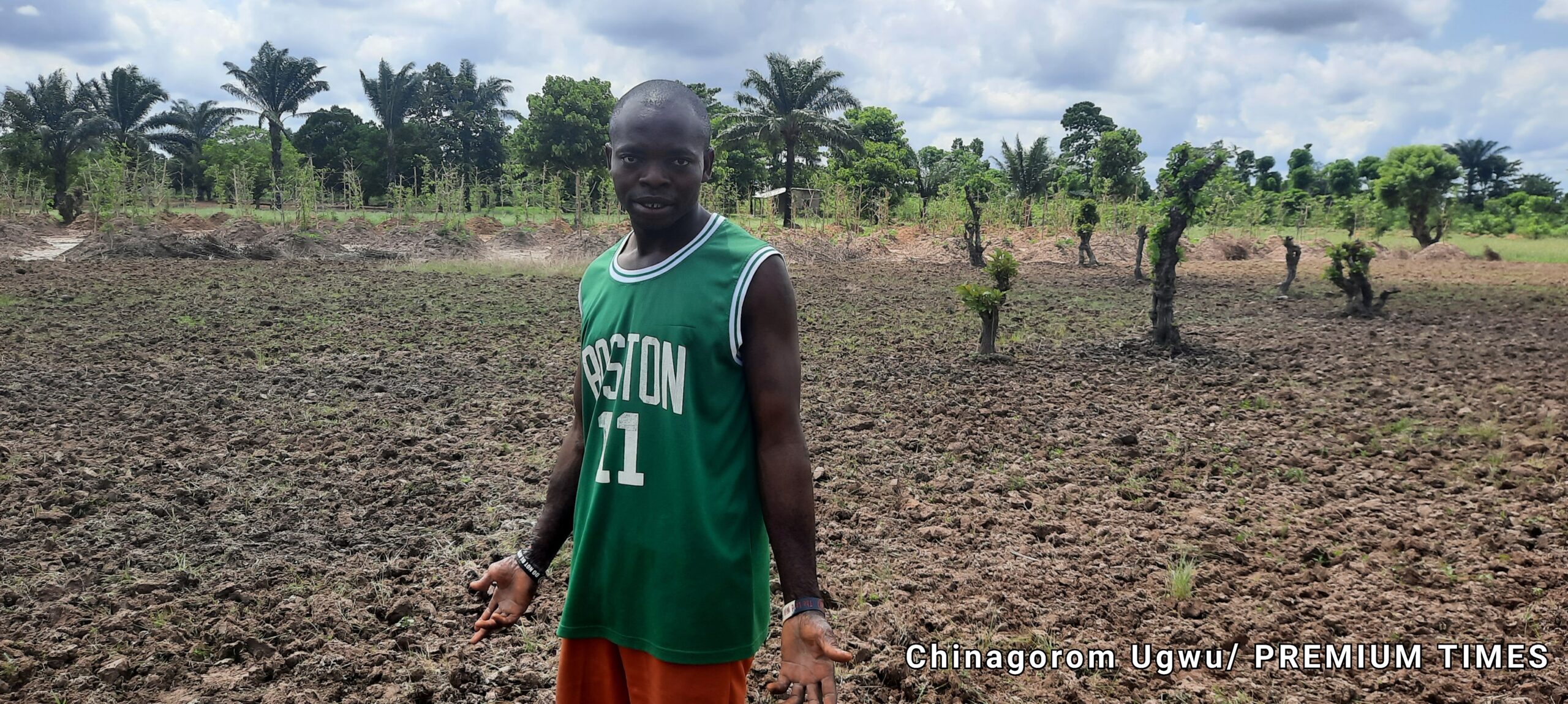 Ogochukwu Mbam in one of his rice farmlands