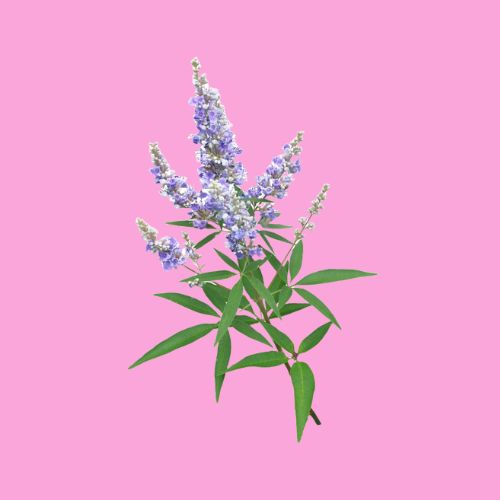 hormone balancing supps