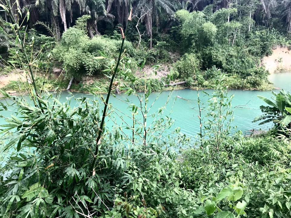 The green river in Akwa Ibom State, Nigeria's South-south [PHOTO CREDIT: Anietie Usen]