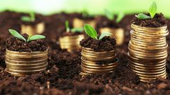 Top 10 African countries with most millionaires (dollars): 2025 Wealth Rankings